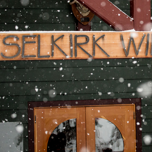 Selkirk Wilderness